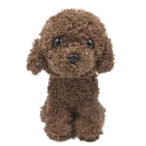 Teddy Bear Poodle - Dark Brown