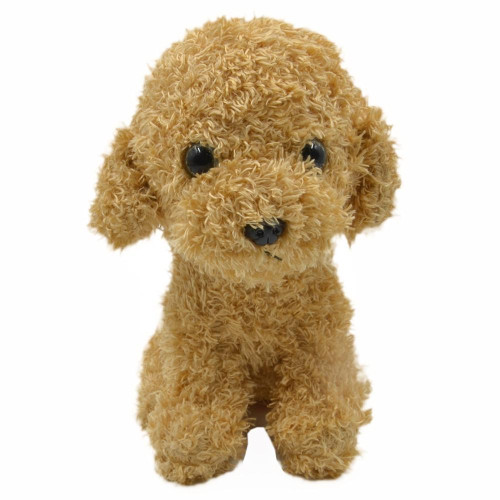 Teddy Bear Poodle - Light Brown