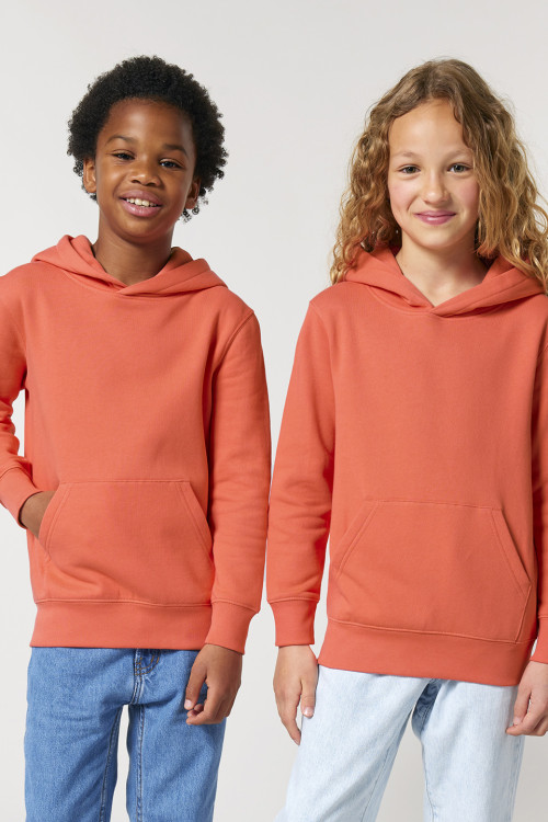 Kids Mini Cruiser 2.0 Iconic Hoodie Sweatshirt (Stsk180)