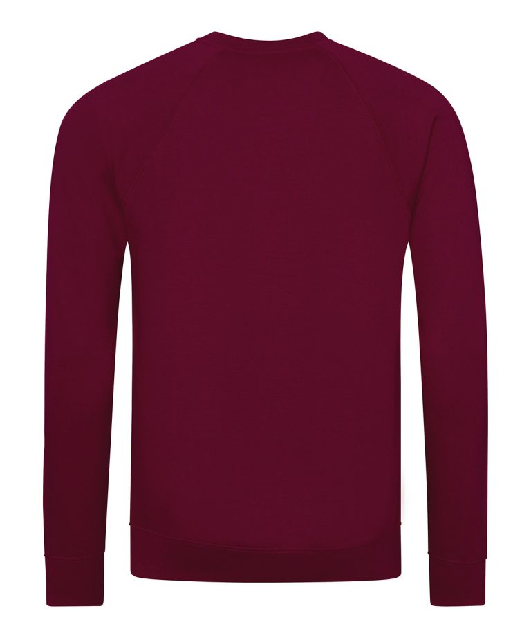 Awdis Academy &#8211; Senior Academy Raglan Sweatshirt AC001, Vivid Promotion Workwear