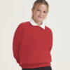 Awdis Academy - Kids Academy Raglan Sweatshirt AC01J