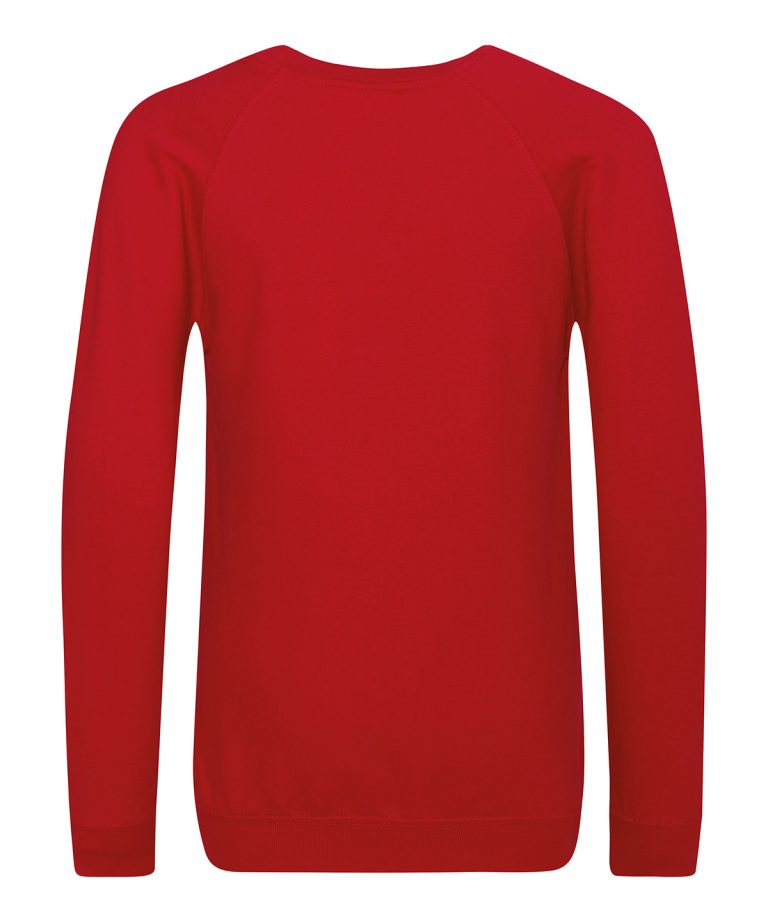 Awdis Academy &#8211; Kids Academy Raglan Sweatshirt AC01J, Vivid Promotion Workwear