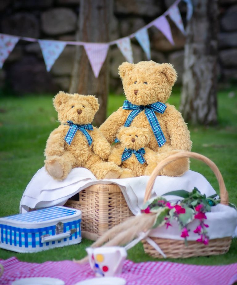 Mumbles &#8211; Bracken Bear MM001, Vivid Promotion Workwear