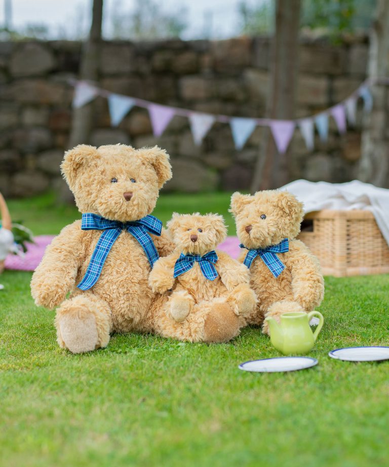 Alternative view of Mumbles - Bracken Bear MM001
