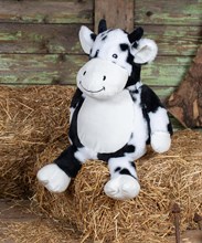 Soft Toys