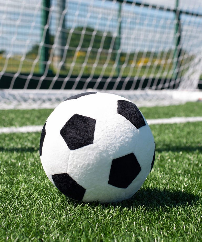 Alternative view of Mumbles - Zippie Football MM583