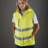 Result Genuine Recycled &#8211; Womens Recycled 2 &#8211; Layer Printable Softshell Bodywarmer R902F, Vivid Promotion Workwear
