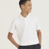 AWDis Academy Academy polo AC004, Vivid Promotion Workwear