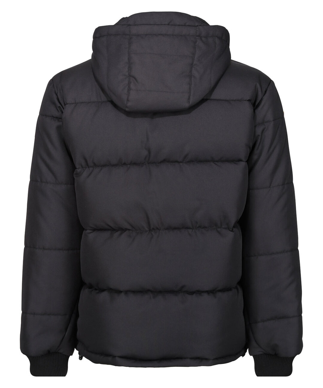 Regatta Professional Northdale insulated jacket RG587, Vivid Promotion Workwear