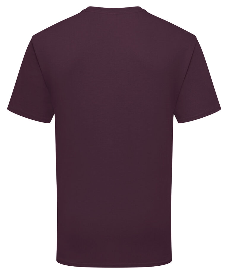 Fruit of the Loom Iconic 195 ringspun premium T SS422, Vivid Promotion Workwear