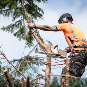 Arborist Workwear Express Delivered and Designed