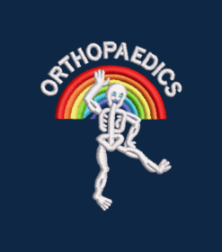 Rainbow Skeleton Dancing Embroidery