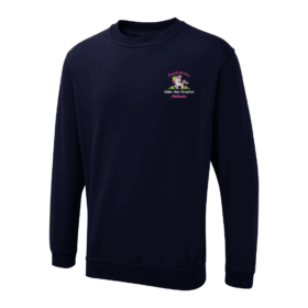 Paediatrics Unicorn Sweatshirt, Vivid Promotion Workwear