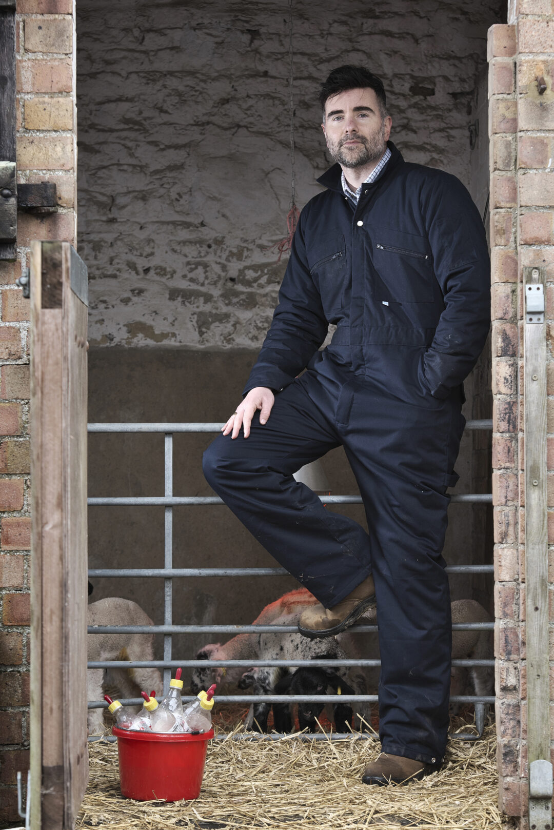 FORT PADDED BOILERSUIT, Vivid Promotion Workwear