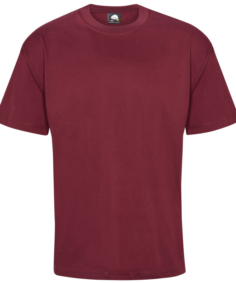 Orn Goshawk T-Shirt, Vivid Promotion Workwear