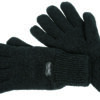 THINSULATE FLEECE GLOVE, Vivid Promotion Workwear