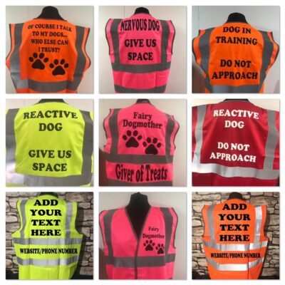 Printed Dog Walker Hi-Vis Vest 1